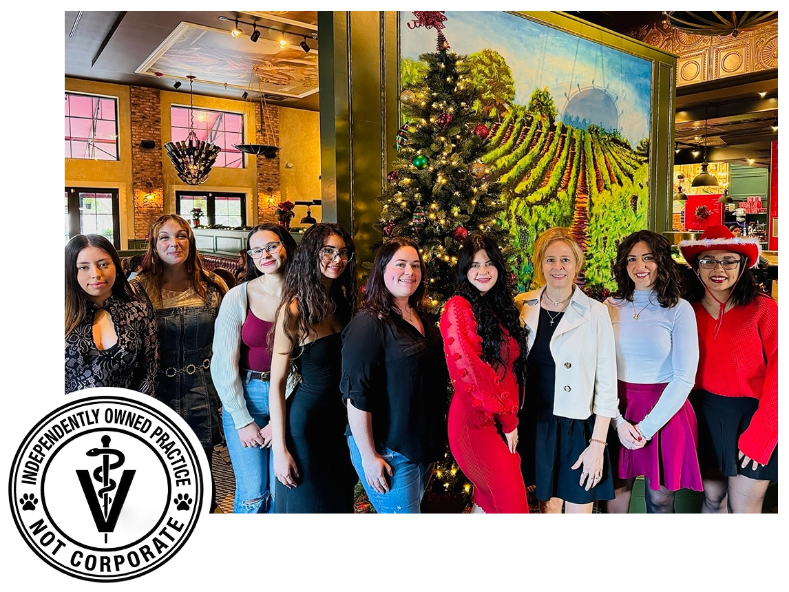 Meet Our Team